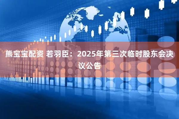 熊宝宝配资 若羽臣：2025年第三次临时股东会决议公告