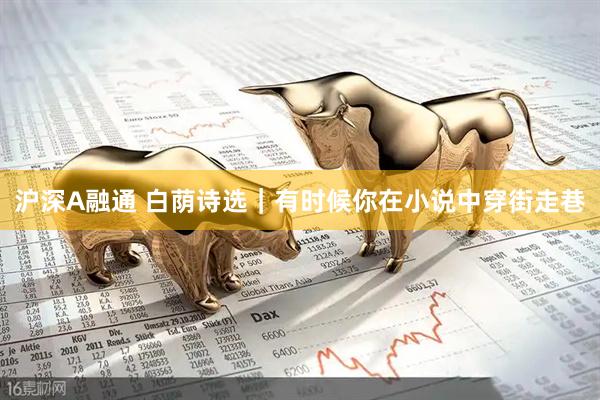 沪深A融通 白荫诗选｜有时候你在小说中穿街走巷