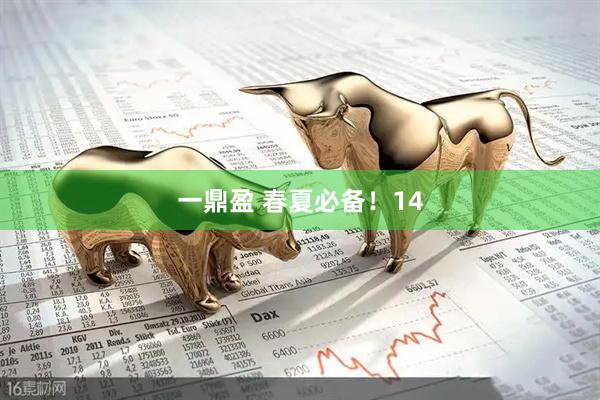 一鼎盈 春夏必备！14